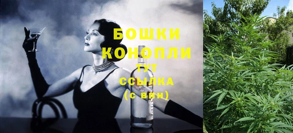 стаф Баксан