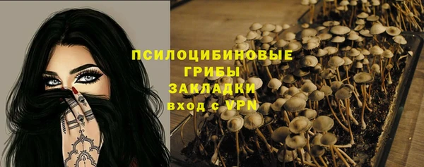 дурь Балахна