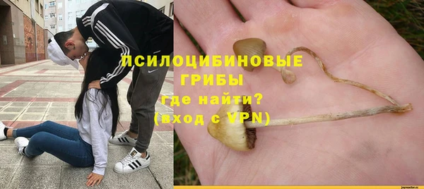 дурь Балахна