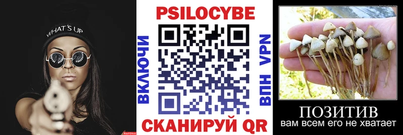 Галлюциногенные грибы ЛСД  blacksprut ТОР  Райчихинск  цены  